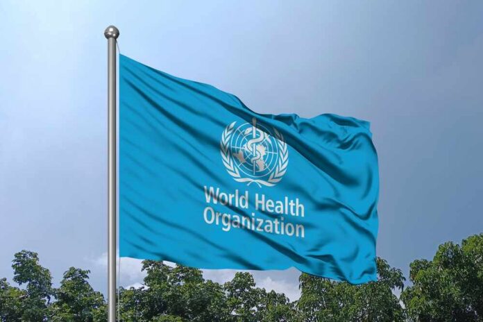 Flag of the World Health Organization waving against a blue sky
