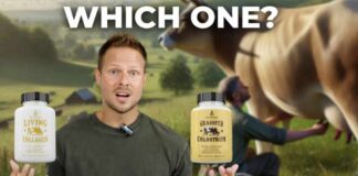 Colostrum or Collagen: Which One is Right For YOU