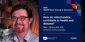 How do mitochondria contribute to health and disease