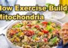 Train Your Cells: How Exercise Builds Mitochondria with