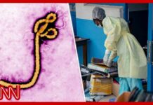 Congo’s Ebola Crisis: What Went Wrong? 88 dead as new Ebola outbreak spreads to second African country