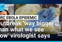 DRC Ebola outbreak 'way bigger than what we see now', virologist says • FRANCE 24 English