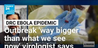 DRC Ebola outbreak 'way bigger than what we see now', virologist says • FRANCE 24 English