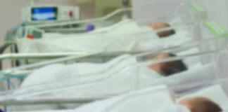 Newborn infants resting in hospital cribs in a nursery