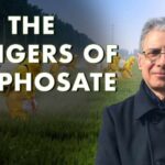 Dr. Michael Antoniou on the Dangers of Glyphosate