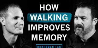 How Walking Improves Memory | Dr. Alan Castel & Dr. Andrew Huberman