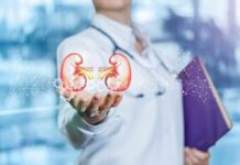 Chronic Kidney Disease: Two Tests Expose It Doctor holding digital illustration of human kidneys