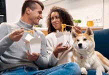 Junk Food Addict? Arteries Pay couple eating takeout noodles on a couch with a dog