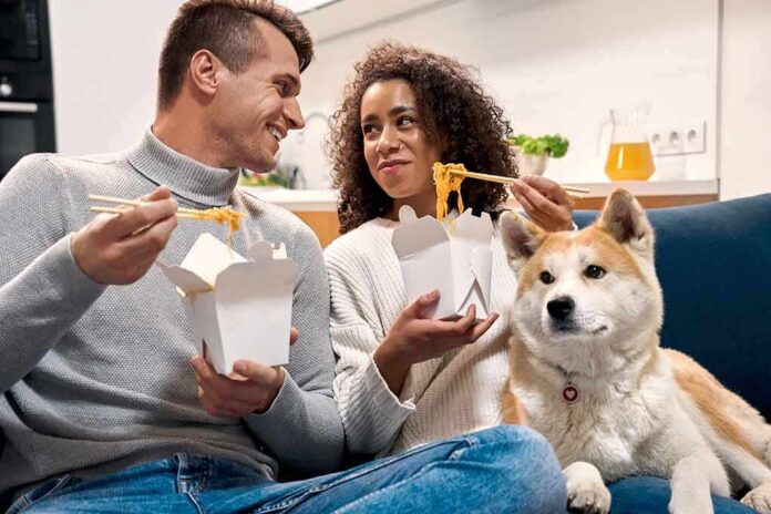 couple eating takeout noodles on a couch with a dog